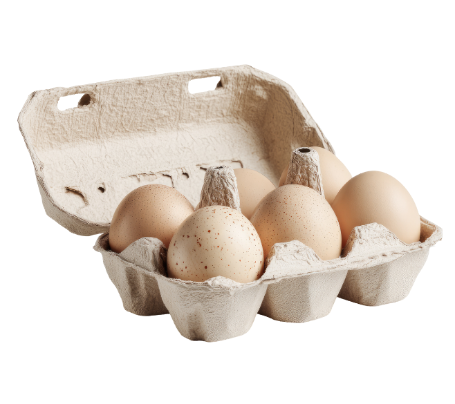 eierdozen